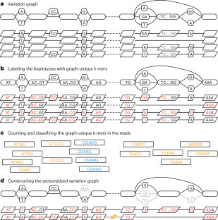 Personalized pangenome references