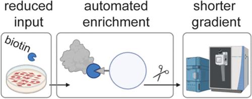 Optimized Automated Workflow for BioID Improves Reproducibility and Identification of Protein-Protein Interactions.