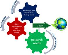 Safe-and-sustainable-by-design roadmap: identifying research, competencies, and knowledge sharing needs