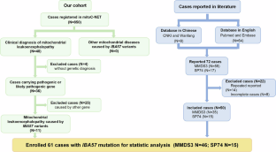 Phenotypic spectrum of iron-sulfur cluster assembly gene IBA57 mutations: c.286 T > C identified as a hotspot mutation in Chinese patients with a stable natural history.