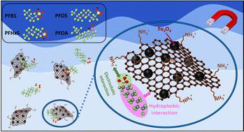 Magnetic amino-functionalized graphene oxide nanocomposite for PFAS removal from water†