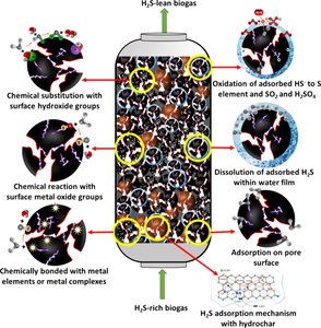 A critical review of biochar versus hydrochar and their application for H2S removal from biogas