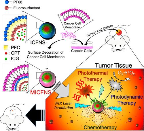 Carcinomembrane-Camouflaged Perfluorochemical Dual-Layer Nanopolymersomes Bearing Indocyanine Green and Camptothecin Effectuate Targeting Photochemotherapy of Cancer