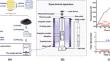 Softening and Melting of Wüstite: Insights from a Multiscale Study