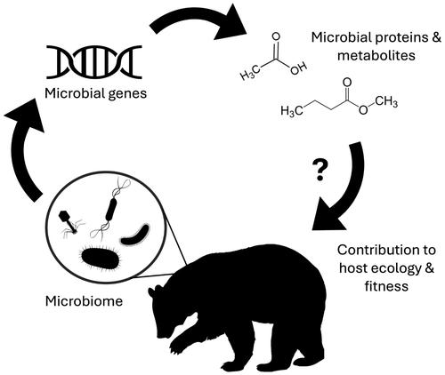 Probing the functional significance of wild animal microbiomes using omics data