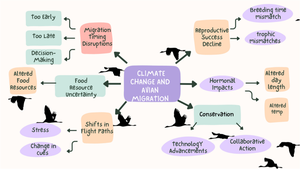 Impacts on avian migratory patterns due to climate change and hormonal disruption: a review