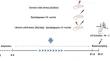 Effects of prolonged escitalopram administration on long-term potentiation within the hippocampal CA1 area in rats under predictable and unpredictable chronic mild stress.