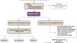 Primary hyperparathyroidism: from guidelines to outpatient clinic.