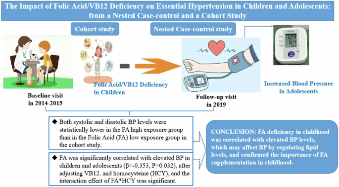 The impact of folic acid/VB12 deficiency on essential hypertension in children and adolescents: from a nested case-control and a cohort study