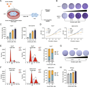 Elevated choline drives KLF5-dominated transcriptional reprogramming to facilitate liver cancer progression