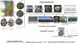 A review on endophytic bacteria of orchids: functional roles toward synthesis of bioactive metabolites for plant growth promotion and disease biocontrol.