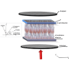 Determination of helical twist in liquid crystals: Examples and terpenoids as chiral dopants