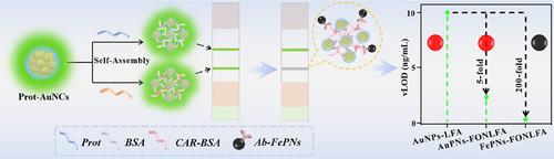 Versatile and efficient fabrication of signal “turn‐on” lateral flow assay for ultrasensitive naked eye detection of small molecules based on self‐assembled fluorescent gold nanoclusters‐antigen aggregates