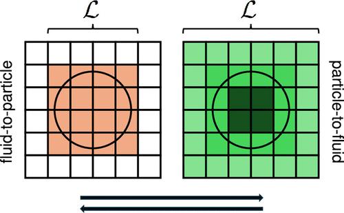 Perspectives on Particle–Fluid Coupling at Varying Resolution in CFD-DEM Simulations of Thermochemical Biomass Conversion