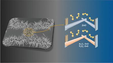 Tailoring the Surface Properties of ZnO Nanowires by ALD Deposition