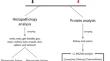 Pathogenesis of Experimental Infection of Nile Tilapia (Oreochromis niloticus) with Nucleospora Braziliensis Pathology and Proteomic of Microsporidia