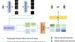 A model fusion method based DAT-DenseNet for classification and diagnosis of aortic dissection.