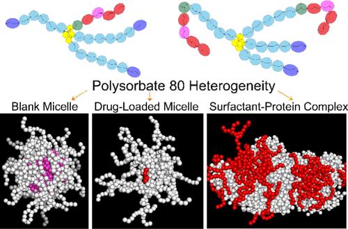 Coarse-Grained Molecular Dynamics Simulation of Heterogeneous Polysorbate 80 Surfactants and their Interactions with Small Molecules and Proteins.