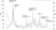 Finance and climate change: assessing the impact of physical, transition, and regulation risks on asset pricing valuation