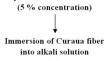 Polypropylene matrix embedded with Curaua fiber through hot compression processing: characteristics study