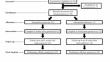 Feasibility and Tolerability of Daily Theta Burst Stimulation in Autistic Youth with Intellectual Disabilities and Minimally Speaking Status: A Pilot Double-Blind Randomized Sham-Controlled Trial.