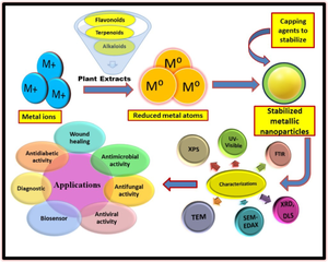 A Comprehensive Review on the Importance of Sustainable Synthesized Coinage Metal Nanomaterials and Their Diverse Biomedical Applications.