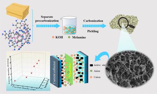 Nitrogen and Oxygen Codoped Hierarchically Porous Carbon Derived from Tannic Acid and Reed Straw for High-Performance Supercapacitors