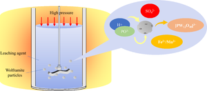 Leaching Kinetics of the Pressure Decomposition of Wolframite with Sulfuric-Phosphoric Mixed Acid