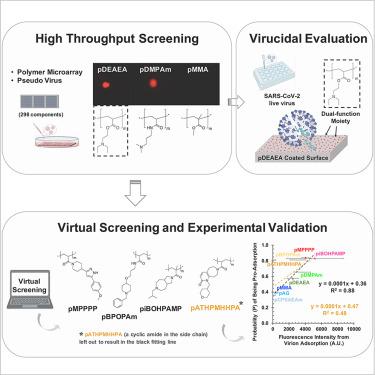 Discovery and computational modeling of adsorbent polymers that effectively immobilize SARS-CoV-2, with potential practical applications