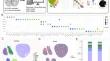 Single-Nucleus Landscape of Glial Cells and Neurons in Alzheimer's Disease.