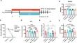 Treatment response of venlafaxine induced alterations of gut microbiota and metabolites in a mouse model of depression.