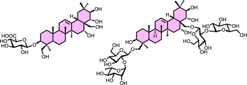 Synthetic Investigation toward Acyl Group-Free Escin Derivatives