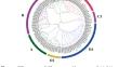 The DOF transcription factor, FaDOF1 affects eugenol accumulation in strawberry