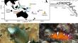 Habitat trumps biogeography in structuring coral reef fishes