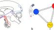 Photoneuroendocrine, circadian and seasonal systems: from photoneuroendocrinology to circadian biology and medicine