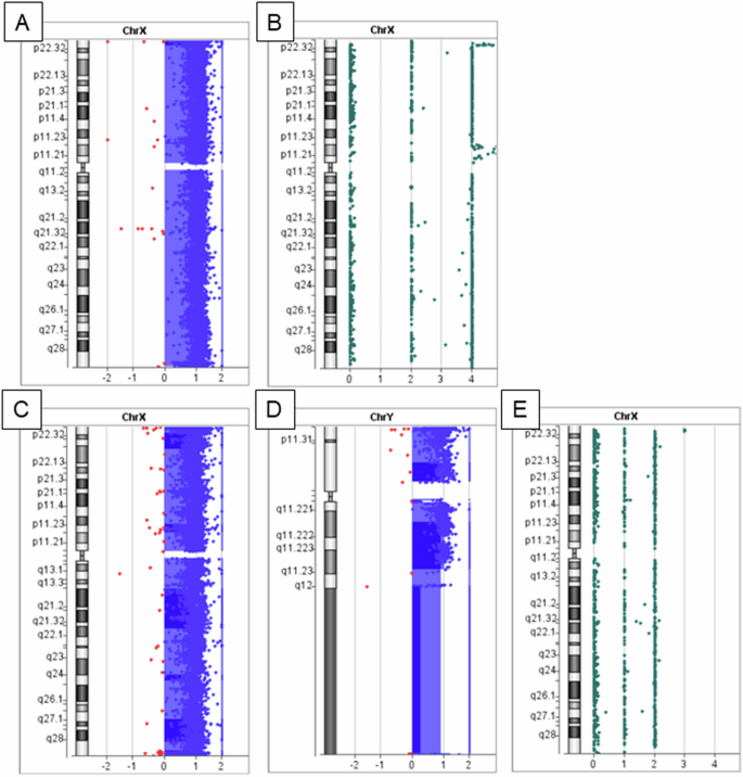 Uniparental maternal tetrasomy X co-occurrence with paternal nondisjunction: investigation of the origin of 48,XXXX.