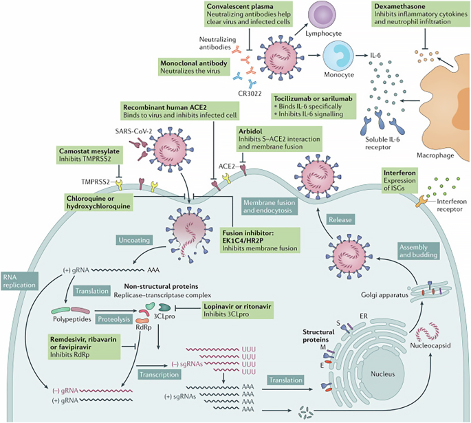 Cardiovascular adverse effects of antiviral therapies for COVID-19: Evidence and plausible mechanisms