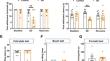 Modulating the Pronociceptive Effect of Sleep Deprivation: A Possible Role for Cholinergic Neurons in the Medial Habenula.