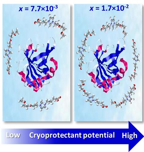 Relationship Between Cryoprotectant Potential and Protein Hydration in Aqueous Zwitterionic Solutions.