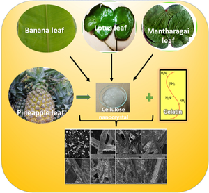 Eco-friendly bio-nanocomposites: incorporation of nano-cellulose from pineapple leaf waste into tissue paper