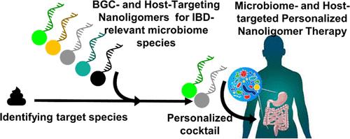 Microbiome- and Host Inflammasome-Targeting Inhibitor Nanoligomers Are Therapeutic in the Murine Colitis Model