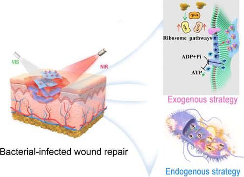 MXene/Metal–Organic Framework Heterojunctions Facilitate Bacterial-Infected Wound Repair via Exogenous and Endogenous Synergistic Stimulations