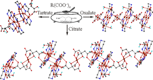 Features of the Crystal Structure of Polynuclear Metallamacrocyclic Copper (II) Complexes Containing Polycarboxylate Anions