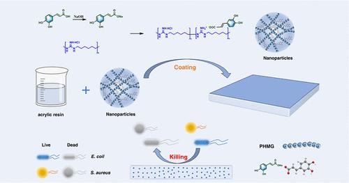 Preparation and Antibacterial Properties of Polyelectrolyte Complexed Nanoparticles Aggregated from PHMG and Sodium Caffeate.