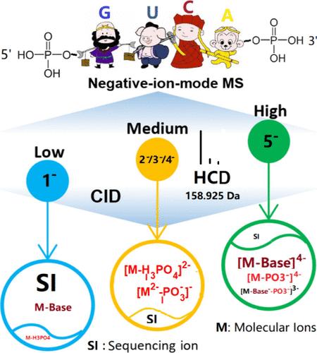 Effect of Terminal Phosphate Groups on Collisional Dissociation of RNA Oligonucleotide Anions.