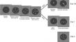 The impact of task measurements on sequential dependence: a comparison between temporal reproduction and discrimination tasks.