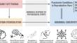 Early Life Trauma, Emotion Dysregulation and Hormonal Sensitivity Across Female Reproductive Life Events.