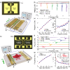 Enhanced signal-to-noise ratio in magnonic logic gates via dipole coupling