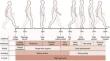 Improved clustering techniques for paediatric cerebral palsy gait assessment during rehabilitation