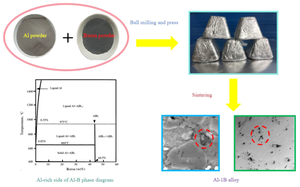 Study About the Forming Mechanism of Boron in Al-1B Alloy